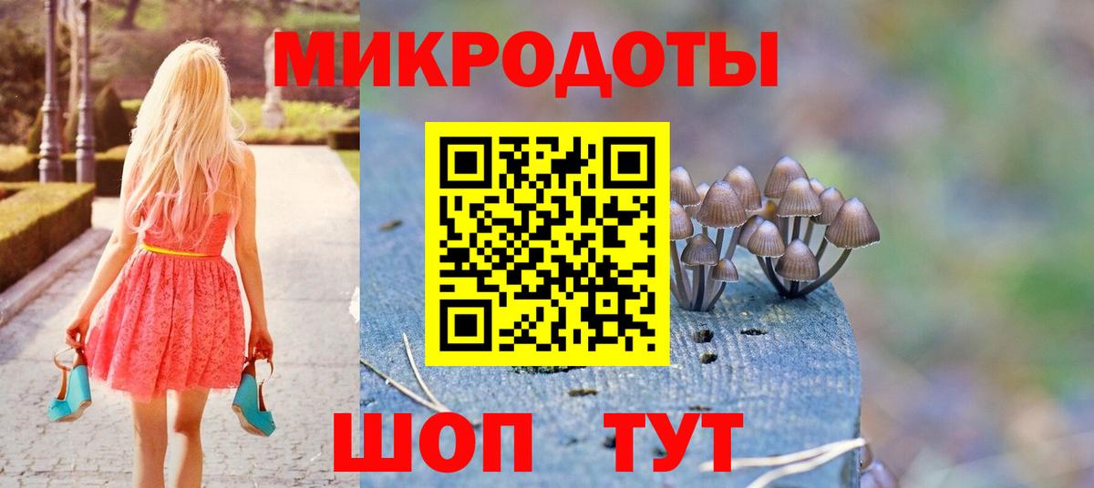 Псилоцибиновые грибы Psilocybe Коммунар